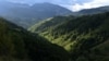 Dosarul a vizat retrocedarea a peste 43.000 de hectare de pădure în judeţul Bacău, în baza unor decizii ilegale ale unor judecători, cu implicarea unor parlamentari, pentru obţinerea ilegală a unor sume mari de bani.