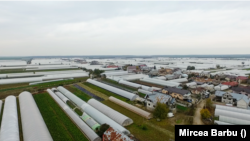 Mai toți locuitorii din Baleni-Sarbi/Dambovita se ocupă cu agricultura.
