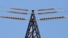 Өкмөттүн тариф саясаты улуу муунду жок кылуубу?