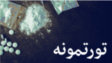 د زياتره پوهانو په نظر نشې يو روغ انسان د تيارو او تورتمونو پر لور بيايي.
