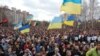 Віче у Кривому Розі. 22 листопада 2015 року 