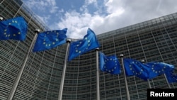 Єврокомісія вже тривалий час пропонує державам-членам блоку розглянути використання російських заморожених активів, які є приватними, а також знерухомлених активів, які є державними