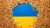 Украин буудайын алып чыгууга Түркия арачы түшөт