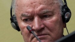 Kisić i Tokača: Šta posle presude Mladiću?