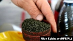Насвай.