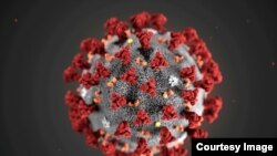 HEALTH-CORONAVIRUS/USA