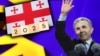 Бидзина Иванишвили, коллаж