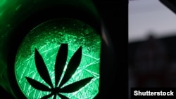 În România, se discută legalizarea cannabis-ului medicinal.