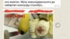 Одна из картинок, распространяемых в соцсетях.