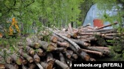 Снимката е илюстративна