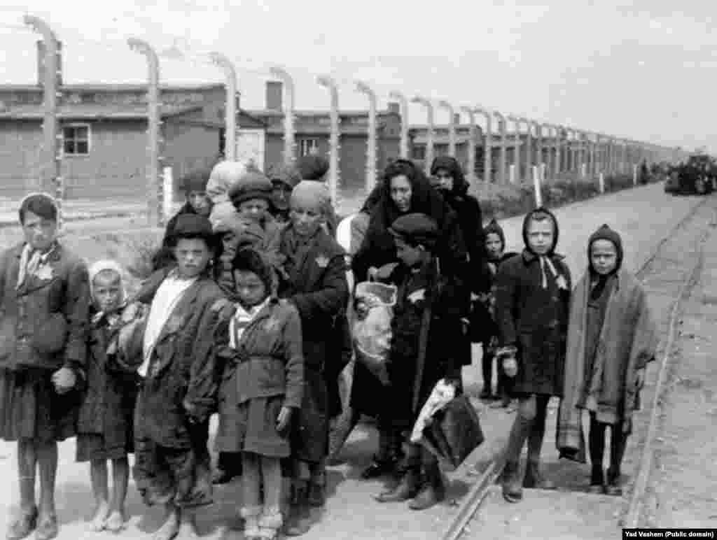 Сол жактагы сүрөт 1944-жылы тартылган. Анда аялдар балдары менен бирге газ камерасына баратышат. Арткы фондо жыгачтан жасалган Биркенау лагеринин үйлөрү көрүнүп турат. Биркенау - Освенцимдеги кошумча курулган лагерь. Согуштан кийин анын имараттары урап, кыштан жасалган дубалдар жана морлор гана калган. 