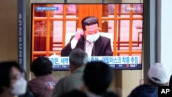 Izbijanje pandemije COVID-19 u Sjevernoj Koreji, 14. maj 2022. 