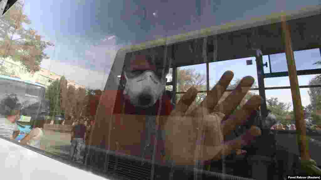 4 сентября власти Крыма объявили, что концентрация вредных веществ в воздухе на севере полуострова превысила допустимую норму, в связи с этим на две недели приостановили работу завода «Крымский титан». Кроме того, начался организованный вывоз детей