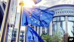 Европа парламенти. Иллюстрациялык сүрөт.