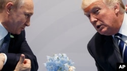 Președintele rus, Vladimir Putin, și cel american, Donald Trump, la Summitul G20 de la Hamburg, Germania, 7 iulie 2017.