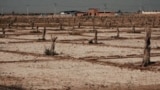 khuzestan scrothed land documentary 