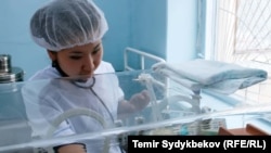Иллюстрациялык сүрөт.