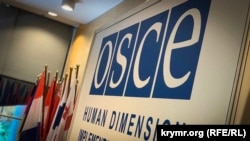 За словами Потураєва, резолюцію було ухвалено «попри шалений спротив російської делегації та делегацій країн, які знаходяться під впливом Росії»