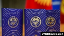 Өкмөт башчы Улукбек Марипов 3-майдан баштап жаңы үлгүдөгү жарандык паспортко документ кабыл алына баштай турганын айтты.