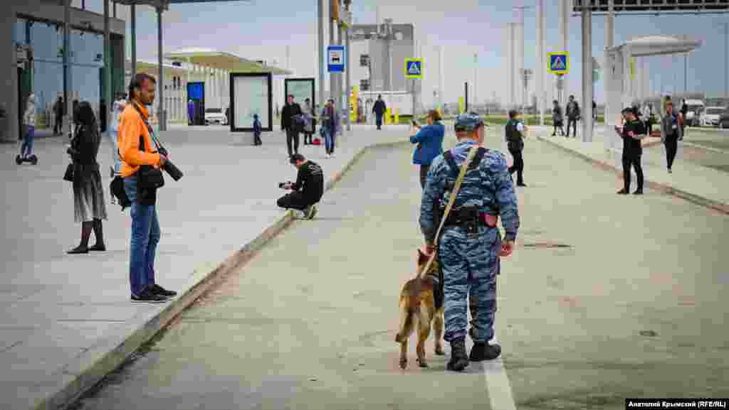 Немецкая овчарка в аэропорту – тоже на службе