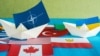 Может ли Россия расколоть НАТО из-за Украины и Грузии?