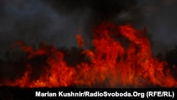З початку року в Україні було близько 17 тисяч пожеж у природних екосистемах, їх площа перевищує 20 тисяч гектарів, каже Чечоткін