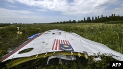 На місці збиття літака рейсу MH17 (архівне фото)