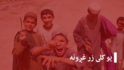 یو کلی زر غږونه