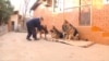 Достони вафодории сагҳои Юрий ва Светлана. ВИДЕО