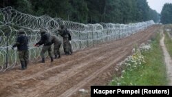 Загалом Польща за добу 23 вересня повернула до Білорусі 271 мігранта