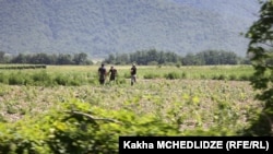 კახეთი