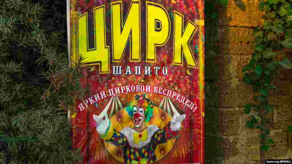 Еще одна опция – цирк