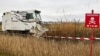 Понад 10 років знадобиться, щоб розмінувати українські поля – МВС