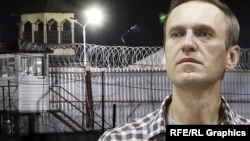 Алексей Навальный (коллаж)