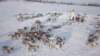 Russia, The Nomadic Nenets Of Russia screen grab