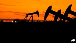 Uoči konferencije COP28 u Ujedinjenim Arapskim Emiratima, mnoge zemlje se zalažu za snažniju, širu posvećenost "postupnom ukidanju" svih "nesmanjenih fosilnih goriva" – uglja, nafte i prirodnog gasa.