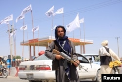 Talibanski borac u gradu Gazni, Afganistan, 14. augusta 2021.
