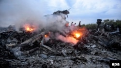 დონბასში ჩამოგდებული MH17. 17 ივლისი, 2014 წ.