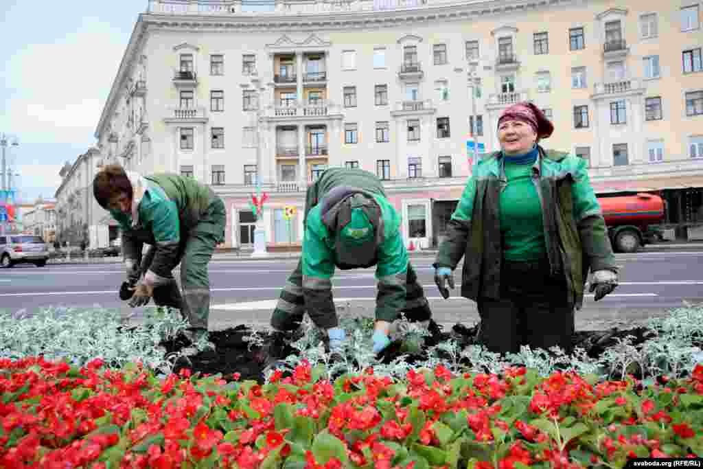  Жанчыны высаджваюць новыя кветкі на плошчы Перамогі