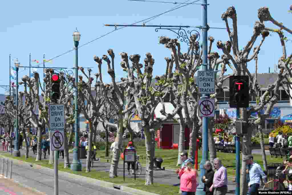 Рыбацкая пристань (Fisherman’s Wharf) — рестораны, кафе, магазины, музеи и кинотеатры. . А ещё на пристани расположены развлекательный район Пирс-39 с его колонией морских львов и Пирс-33, откуда отправляются экскурсии к Алькатрасу.