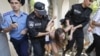 «Лукашэнка зь вялікім бюстам арыштаваны. Новая акцыя Femen»