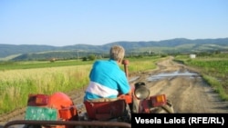 Vojvodina, ilustrativna fotografija