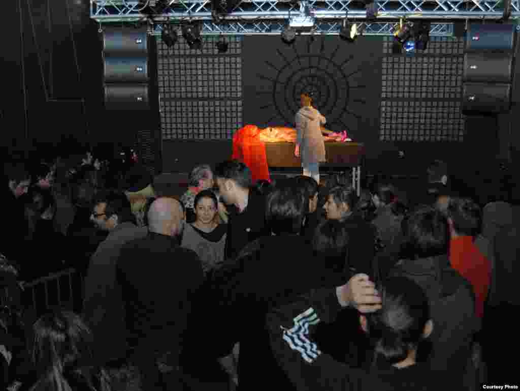 Ciklus Erszebet Bathory, Vlasta Delimar, Noć performansa, 26.11.2011. Foto: Stanislav Milojković