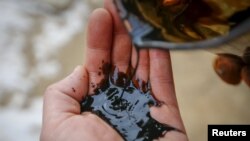 Добытая на казахстанском месторождении нефть в ладони человека. Кызылординская область, 22 января 2016 года. Иллюстративное фото.
