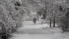 16x9 Image