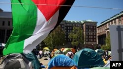 Protestni kampe propalestinskih studenata na Univerzitetu Kolumbija, 25. april 2024.