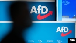 "Almaniya üçün Alternativ" partiyasının reytinqi son aylarda yüksəlib.