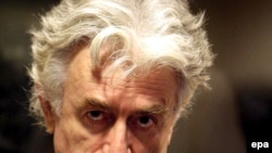 Radovan Karadzic at the UN court in The Hague in 2008
