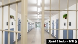 Imagine generică
