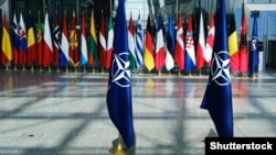 У місті Констанца і територіальних водах Румунії розпочалися спільні протимінні навчання «Посейдон 2023»